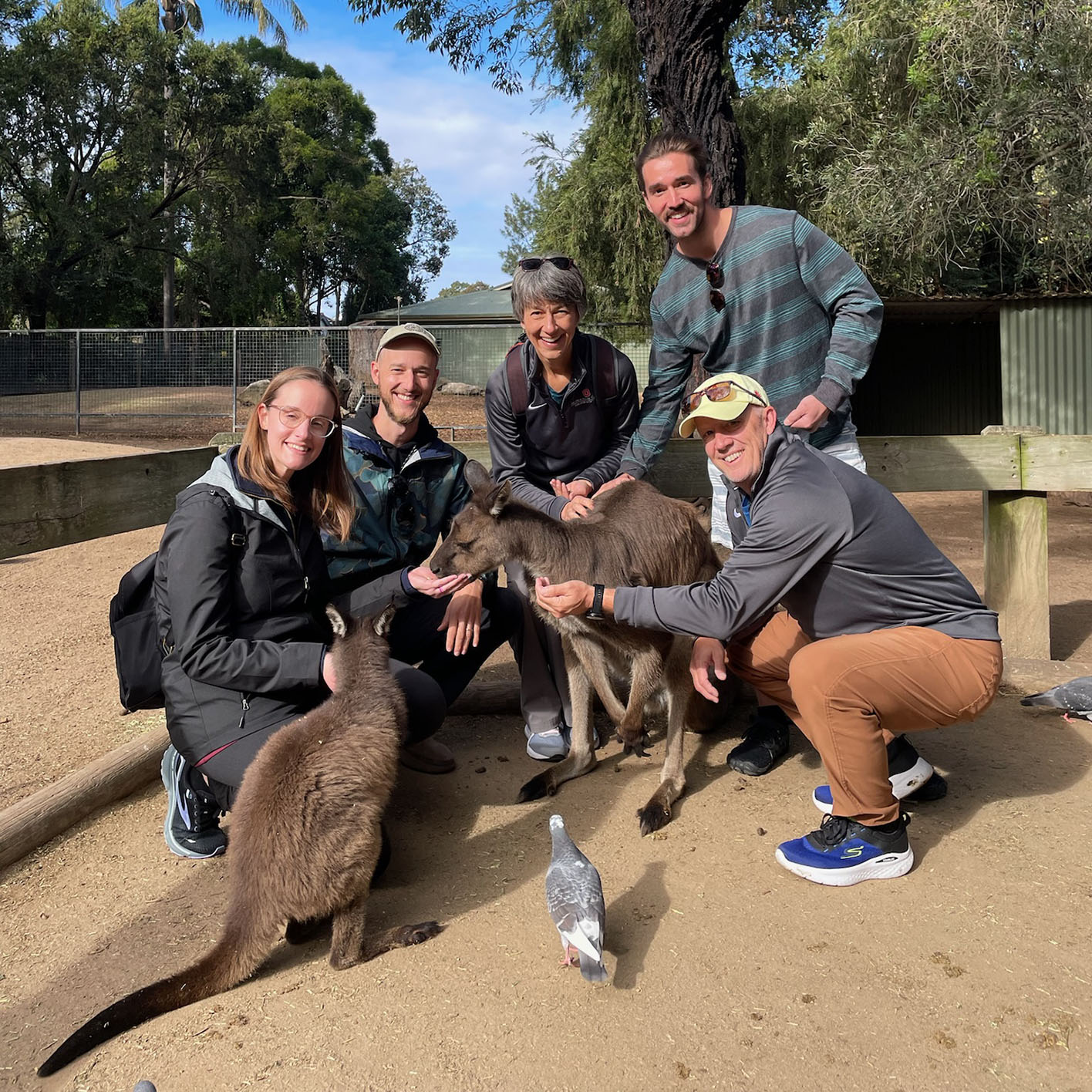 Family surrounded by kangaroos